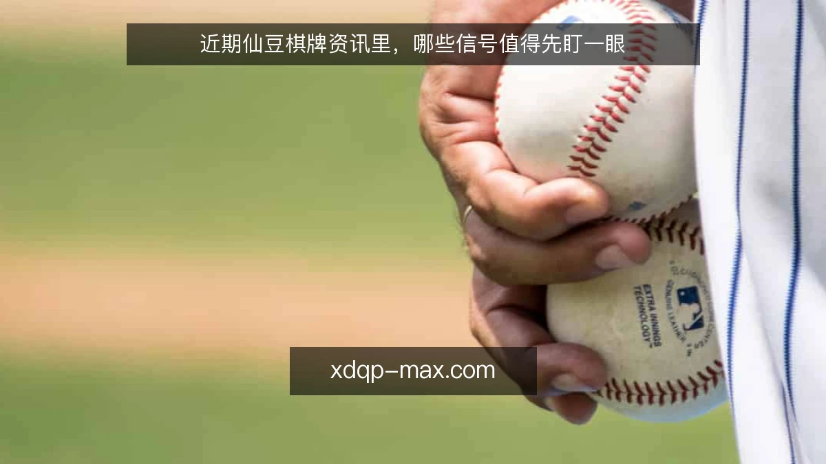 近期仙豆棋牌资讯里，哪些信号值得先盯一眼