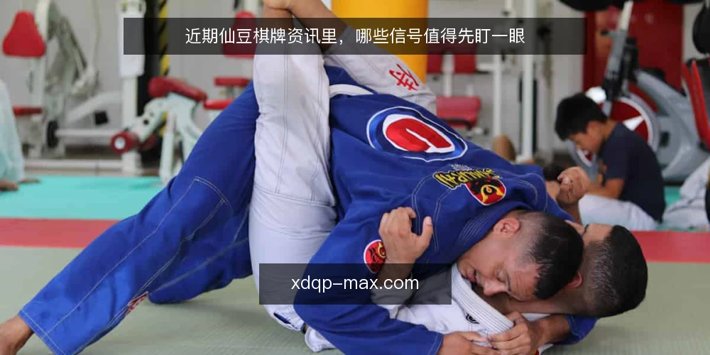 近期仙豆棋牌资讯里，哪些信号值得先盯一眼 — 近期值得盯的信号 配图