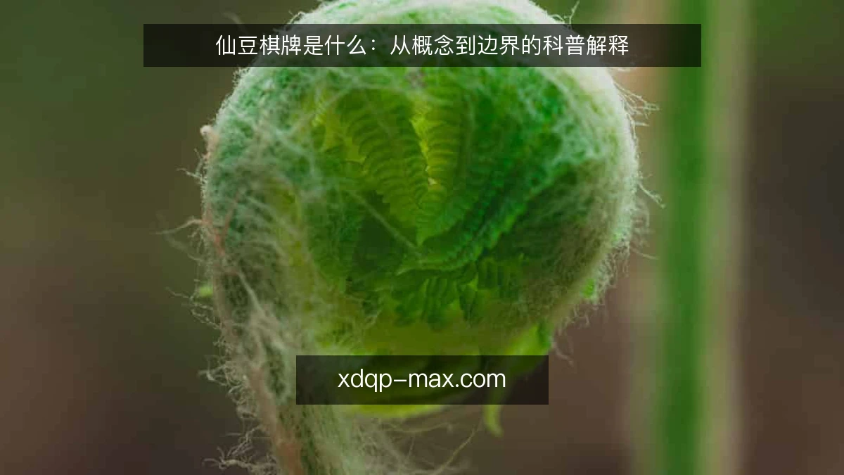 仙豆棋牌是什么:从概念到边界的科普解释