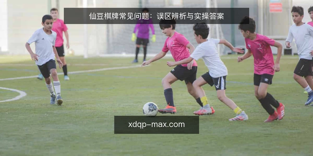 仙豆棋牌常见问题：误区辨析与实操答案 — 仙豆棋牌真的只是靠运气吗？ 配图